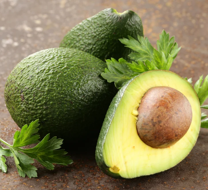 15 Impressive Health Benefits of Avocado Beverage Manufacturer