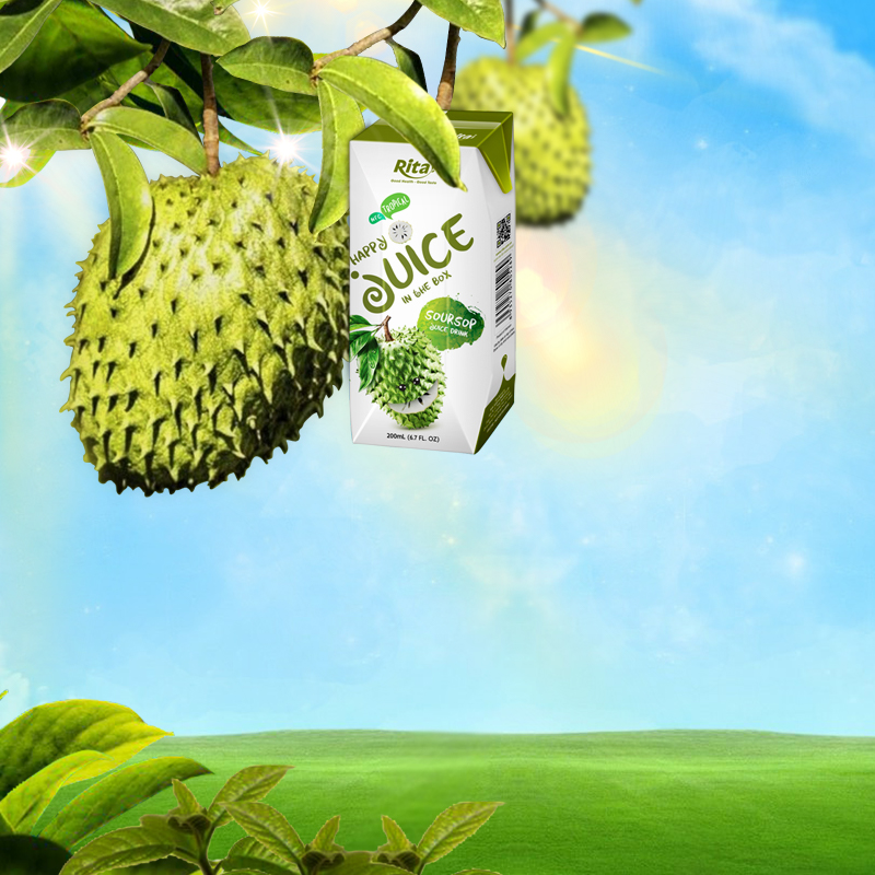 RITA POSTER 800x800 TETRA PAK 200 ML SOURSOP JUICE VS2