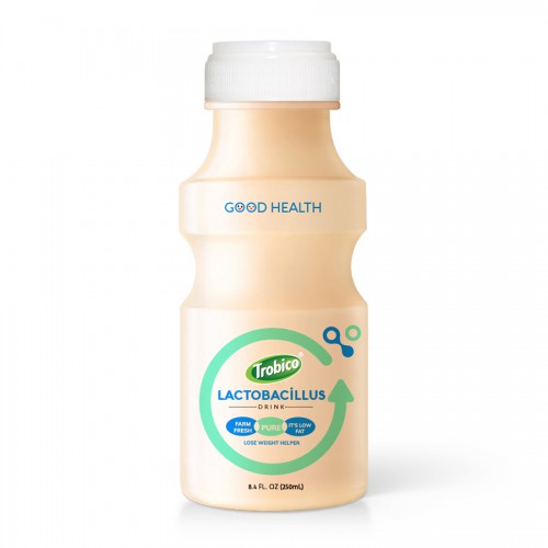 250ml Trobico Manufacturer Good Healthy Lactobacillus Milk Drink 1