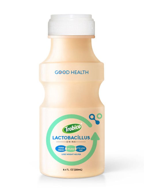 250ml Trobico Manufacturer Good Healthy Lactobacillus Milk Drink 1