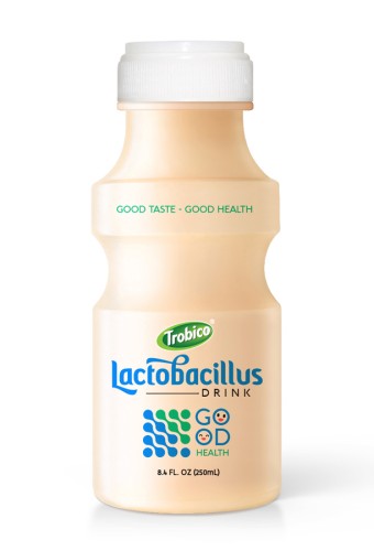 250ml Trobico Manufacturer Good Healthy Lactobacillus Milk Drink 1