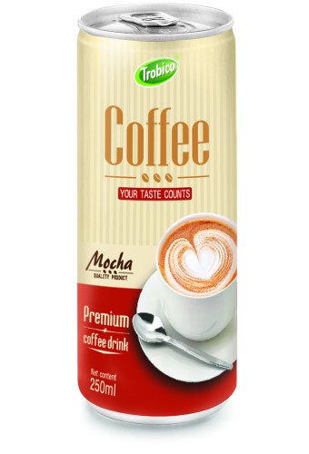 250ml canned Mocha Coffee Drink