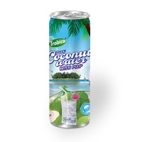 330ml slim can coconut water with pulp