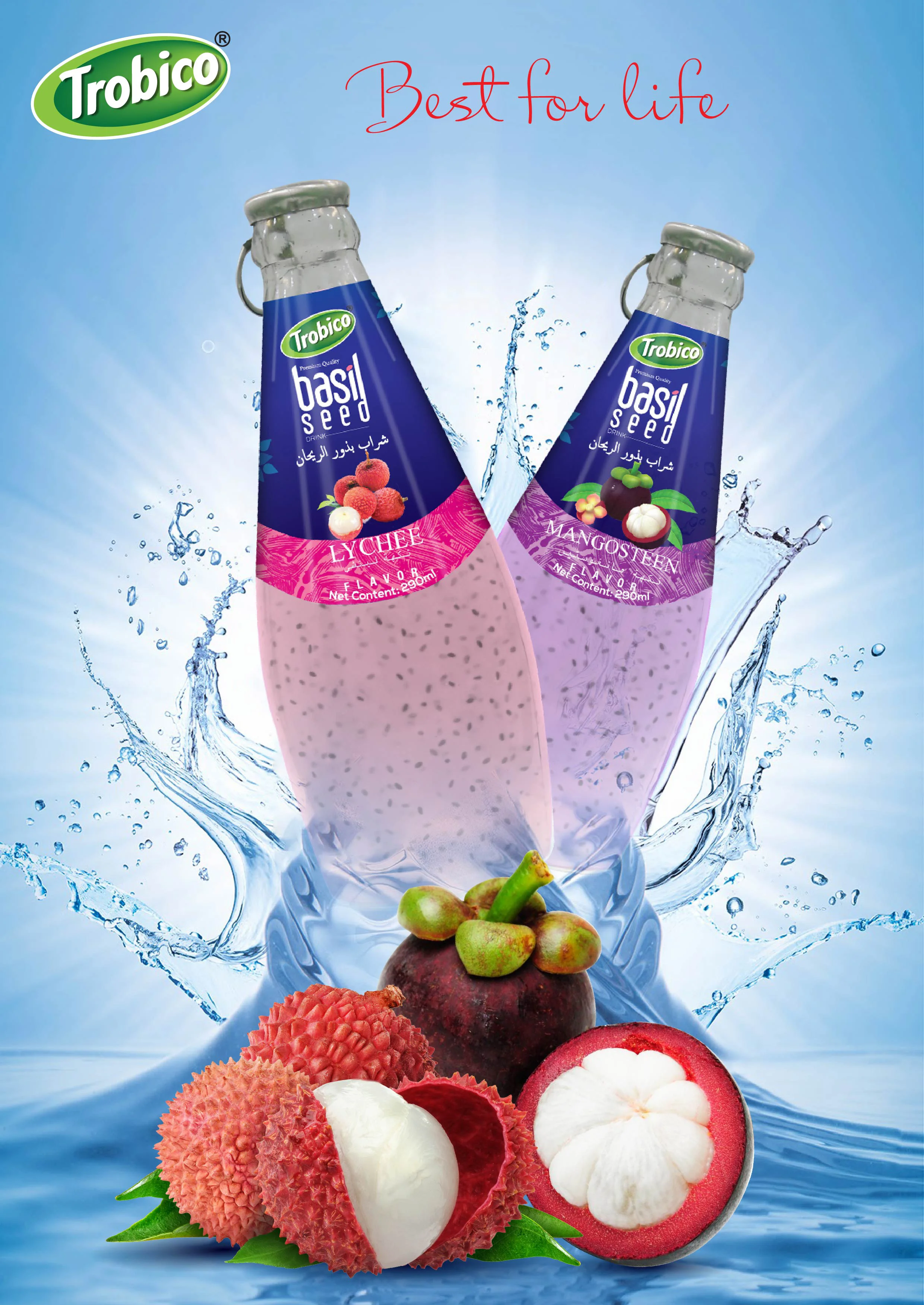Basil seed lychee mangosteen drink Beverage Manufacturer