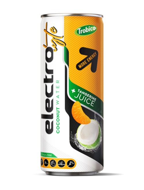 Electrotyle CW  250ml 08