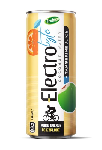 Electrotyle Coconut water 250ml 02
