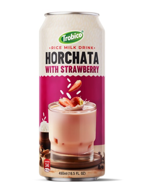 Horchata rice-milk-drink-490ml 04