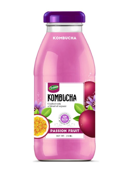 Kombucha-250ml 02