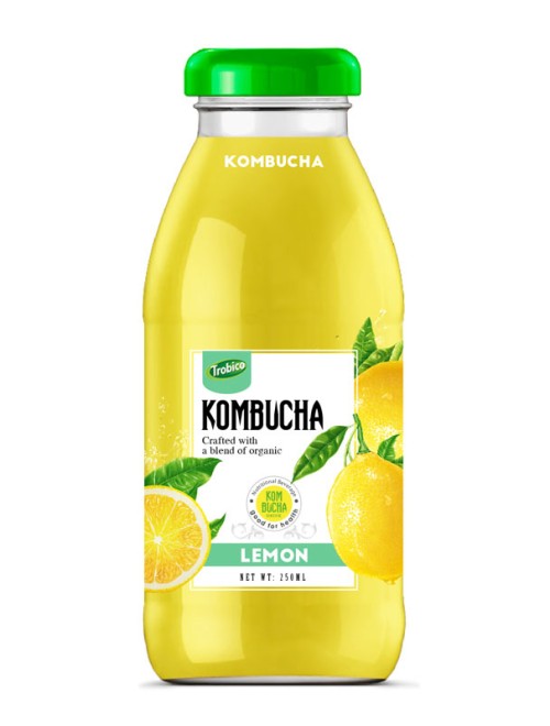 Kombucha-250ml 04