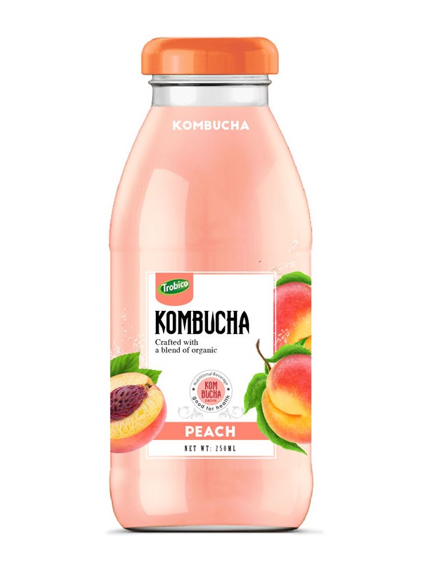 Kombucha-250ml 05
