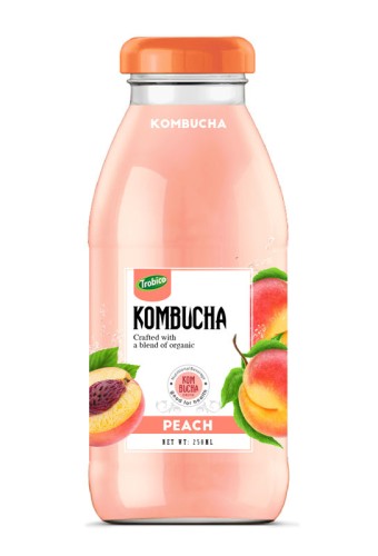kombucha