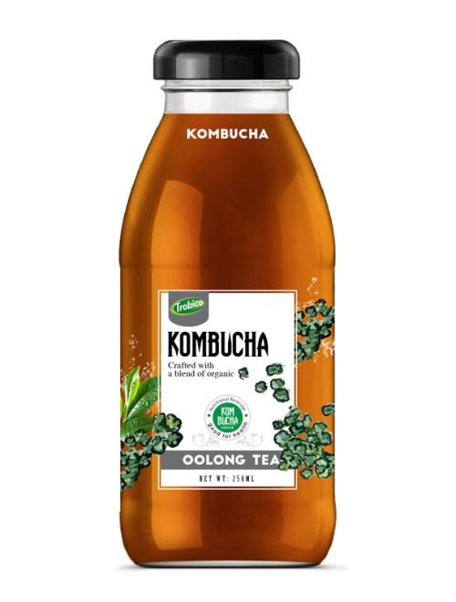 Kombucha-250ml 06