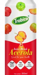 Acerola Juice Drink 400ml Pet Bottle - 03