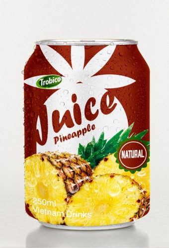 250ml Canned Good Taste Pineapple Fruit Juice