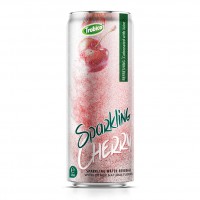 Sparkling-320ml-sllek-can New 03