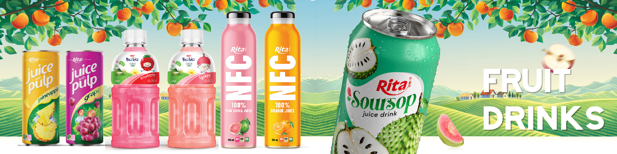 Fruit Drink Fruit Drink